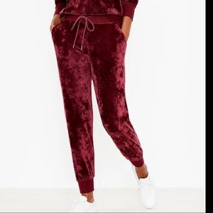 NWT purple crushed velvet joggers